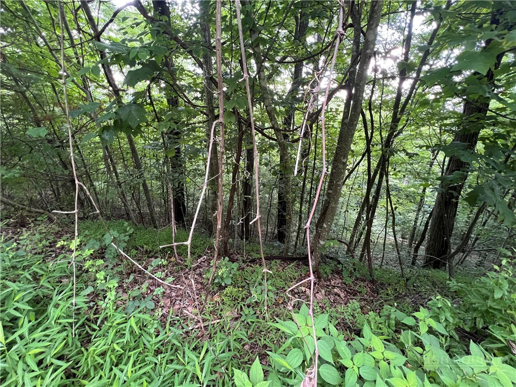 Image number 11 for the current listing