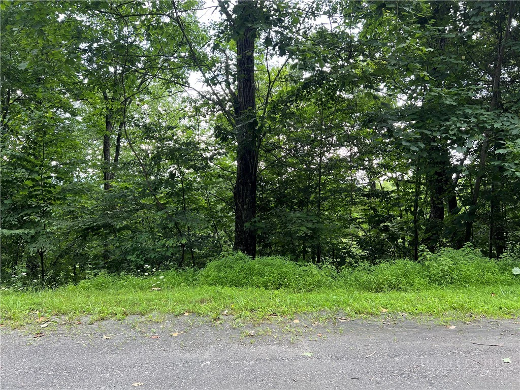 Image number 12 for the current listing