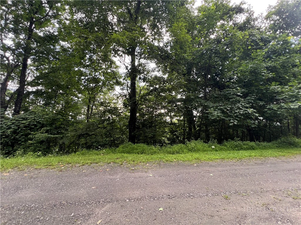Image number 13 for the current listing