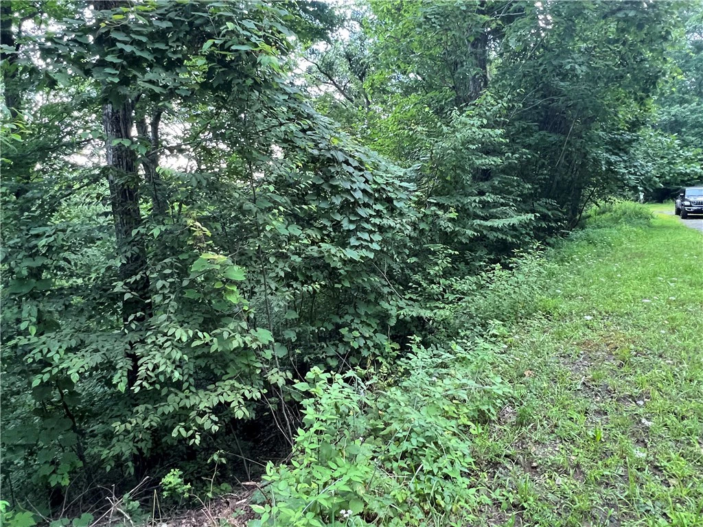 Image number 14 for the current listing