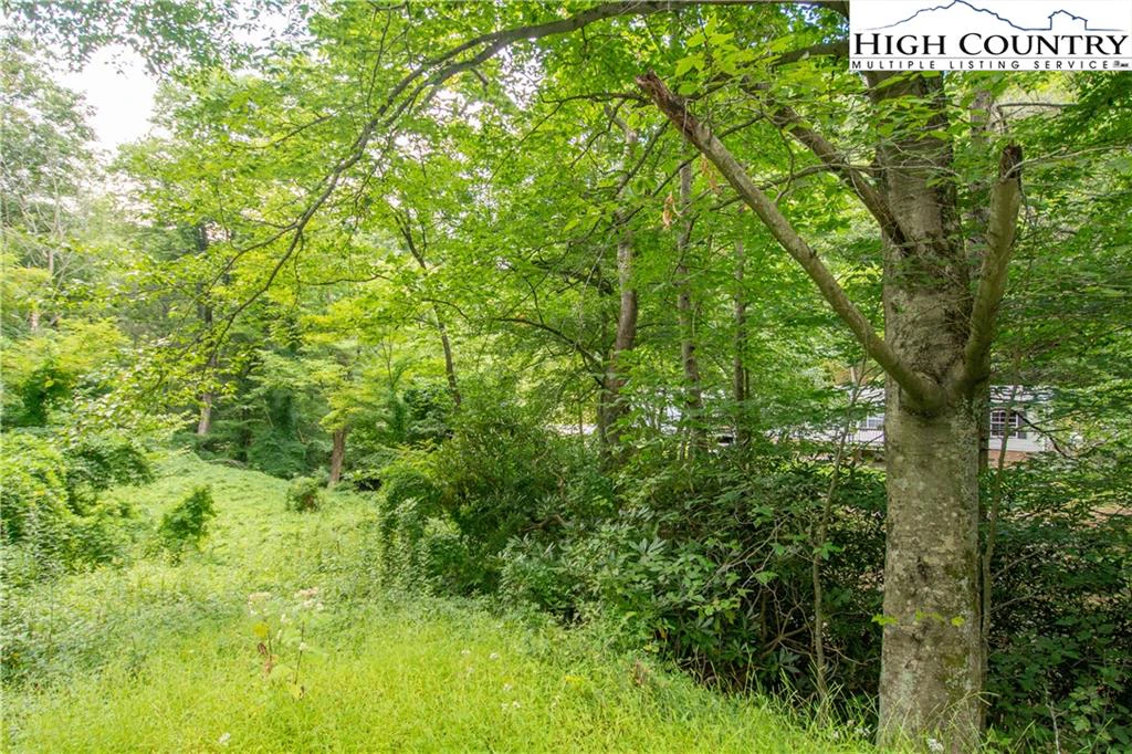 Image number 4 for the current listing