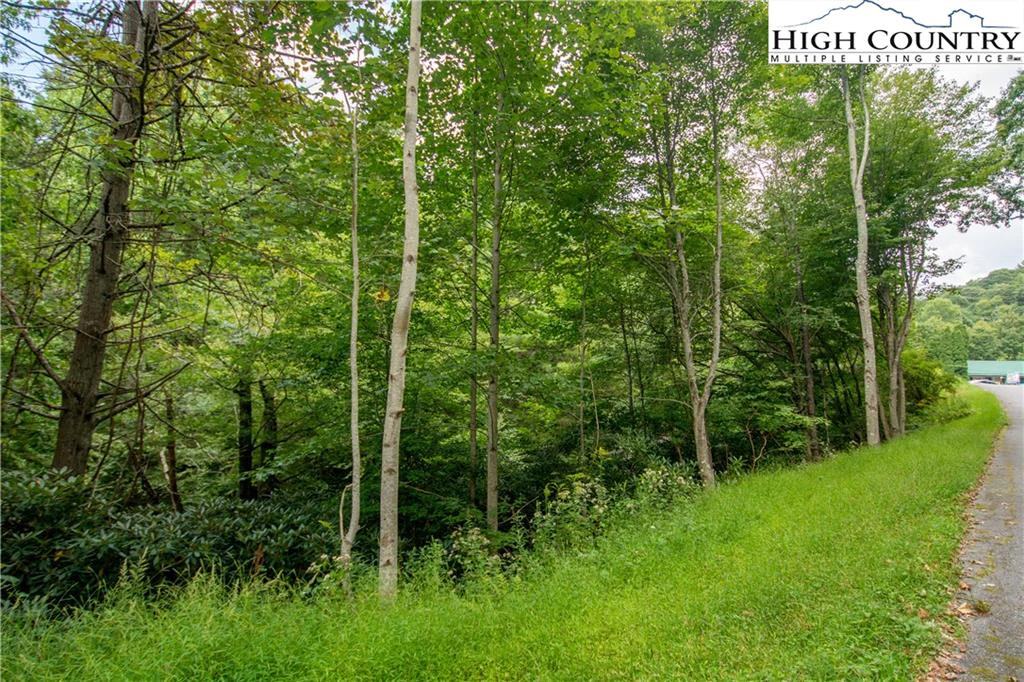 Image number 5 for the current listing