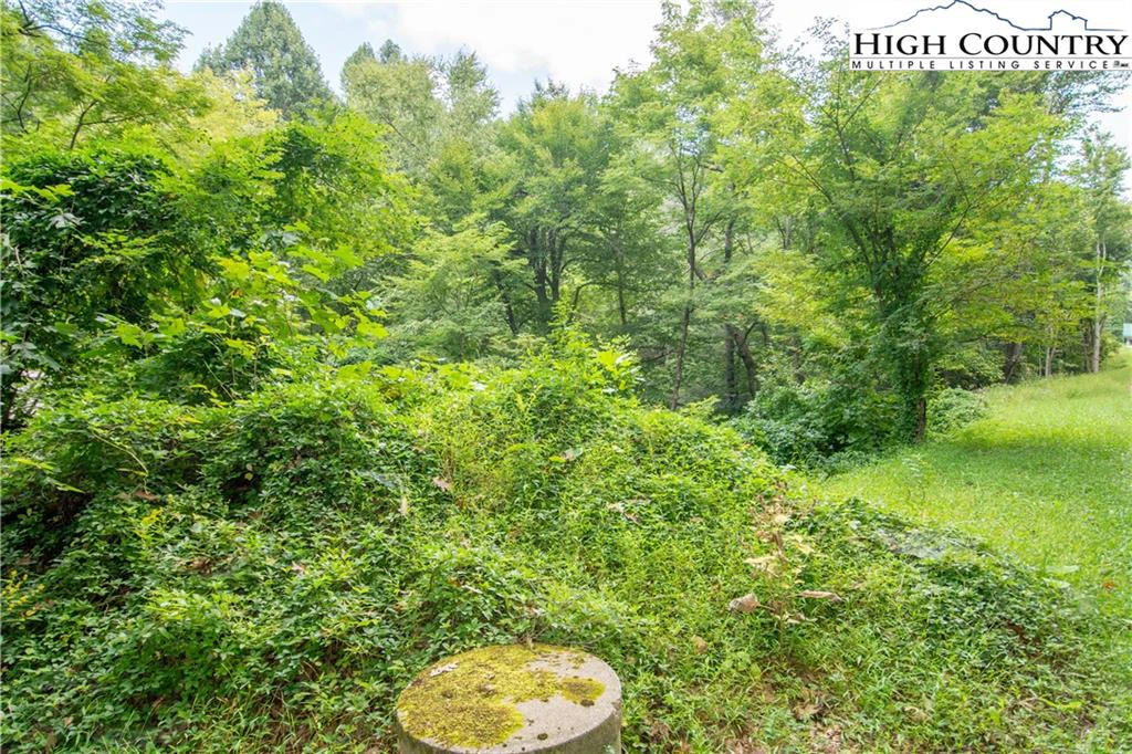 Image number 6 for the current listing