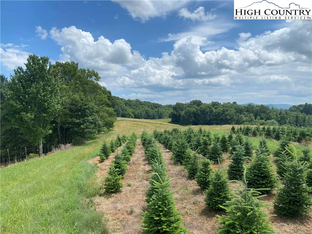 Image number 1 for the current listing