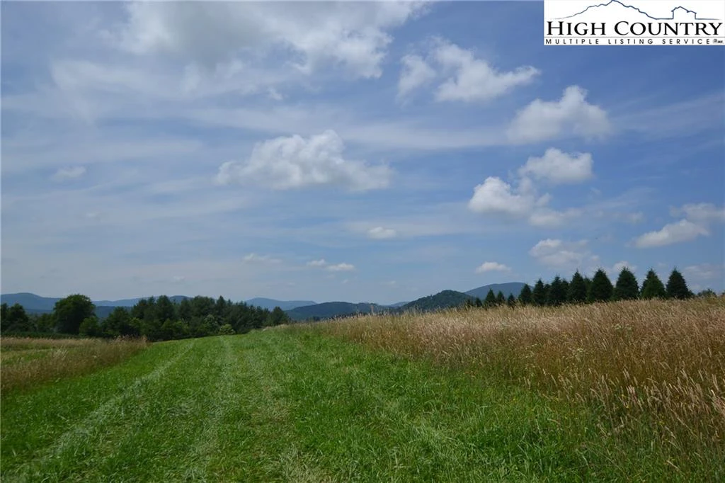 Image number 19 for the current listing