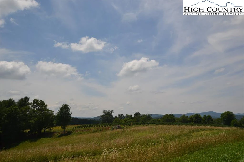 Image number 10 for the current listing