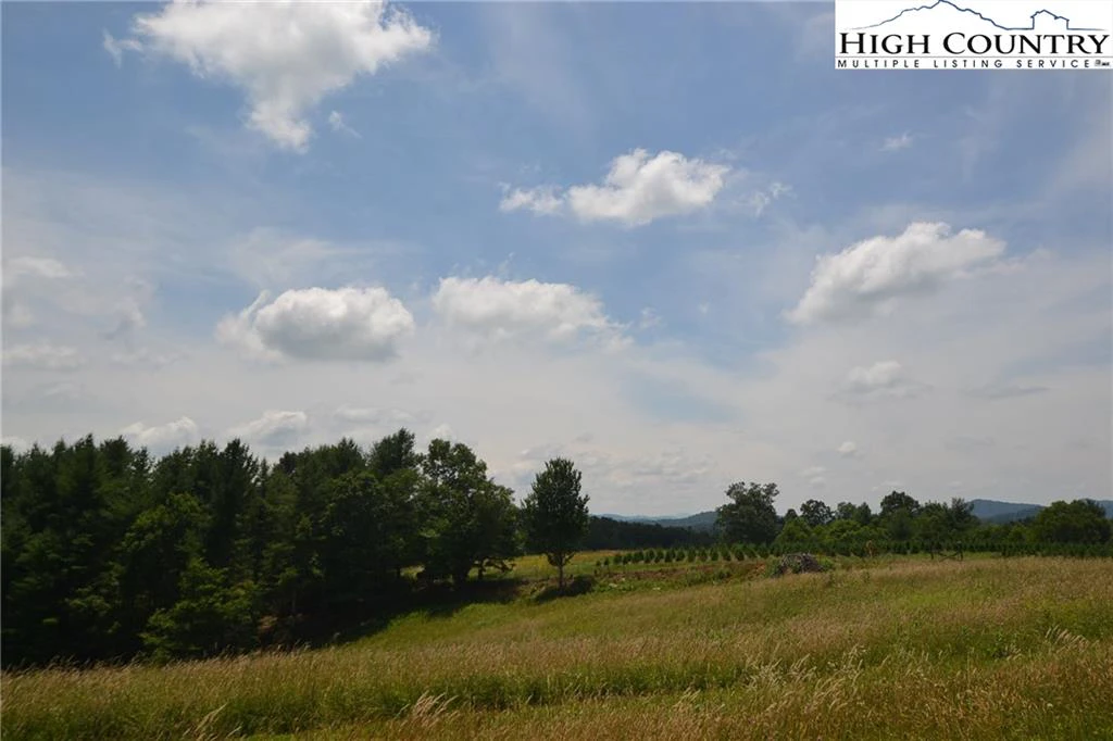 Image number 3 for the current listing