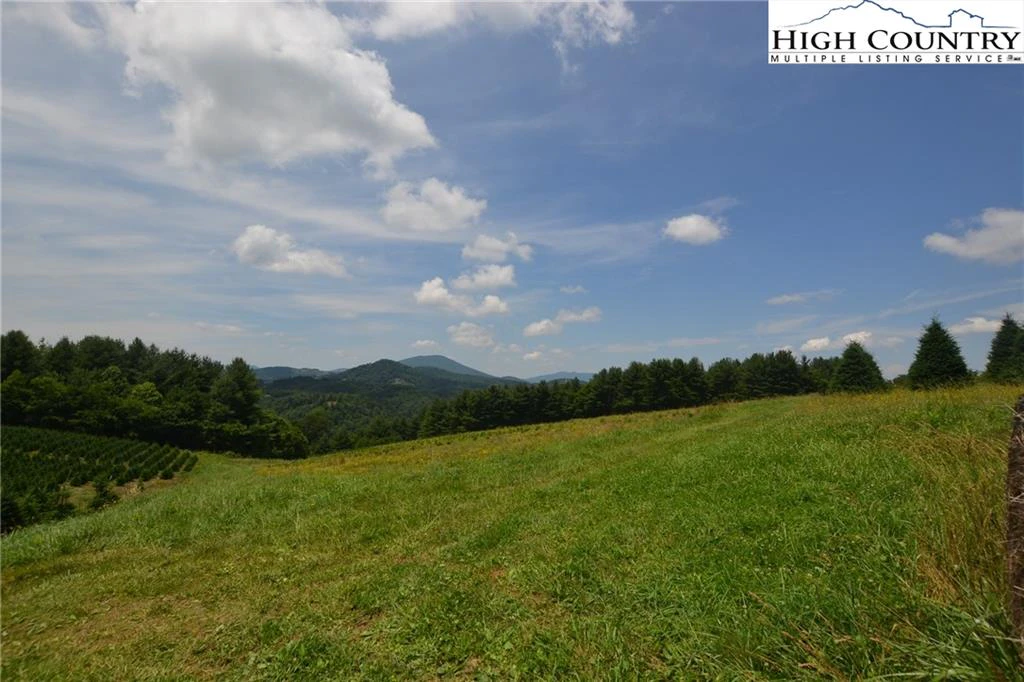 Image number 9 for the current listing