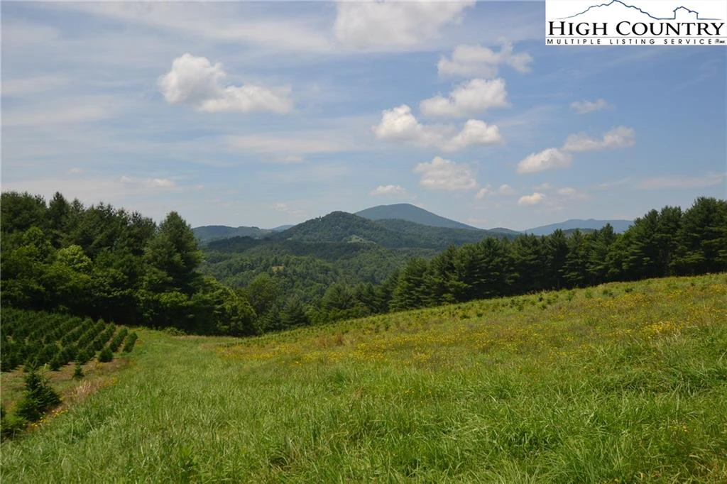 Image number 2 for the current listing
