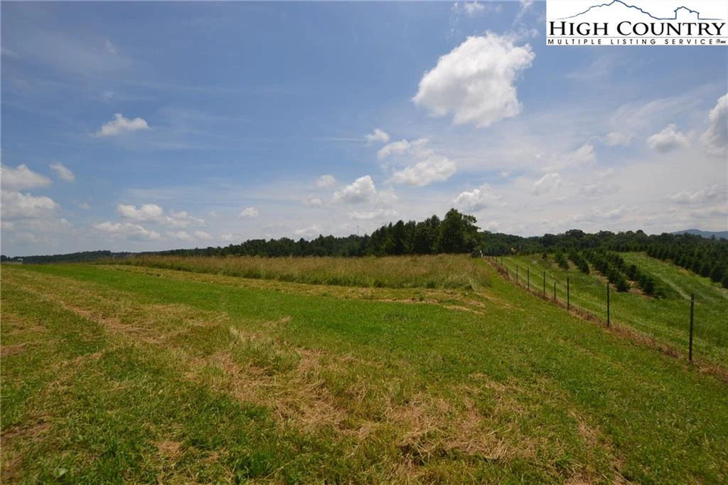 Image number 12 for the current listing