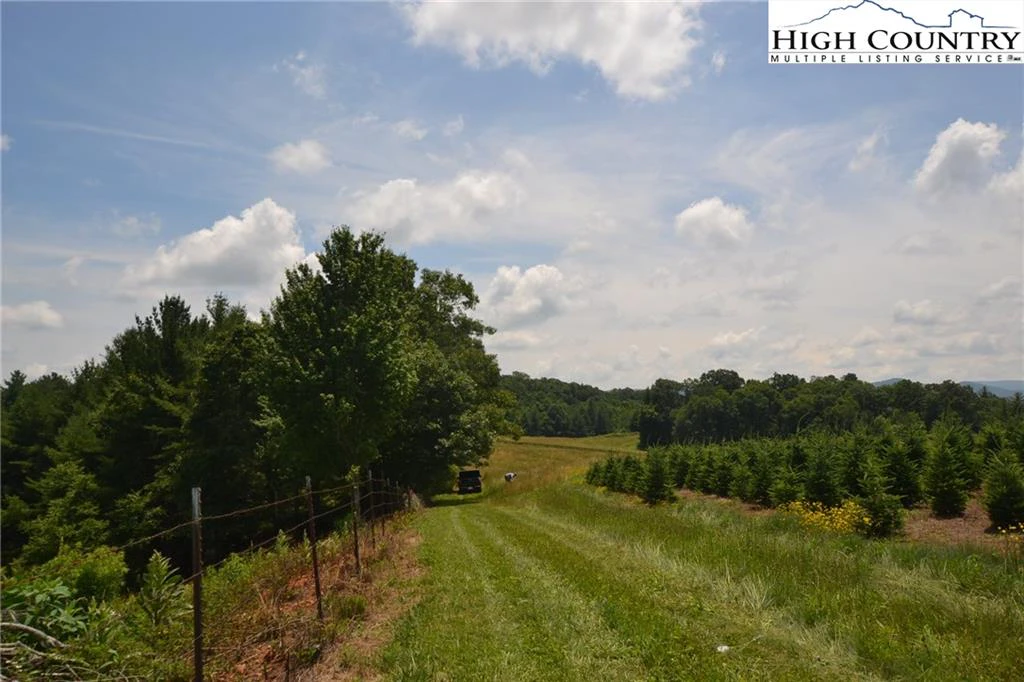 Image number 13 for the current listing