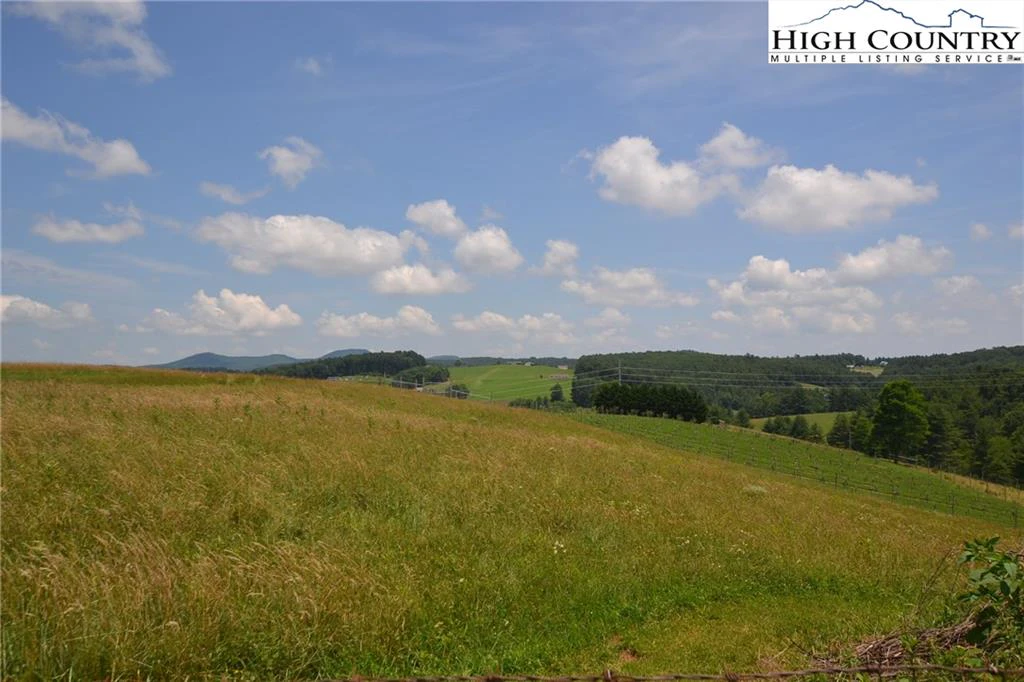 Image number 14 for the current listing