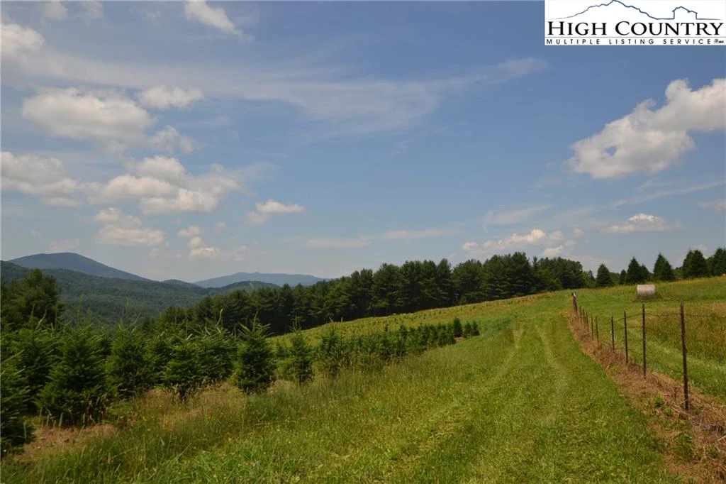 Image number 16 for the current listing