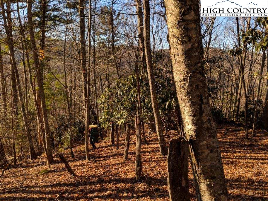 Image number 1 for the current listing
