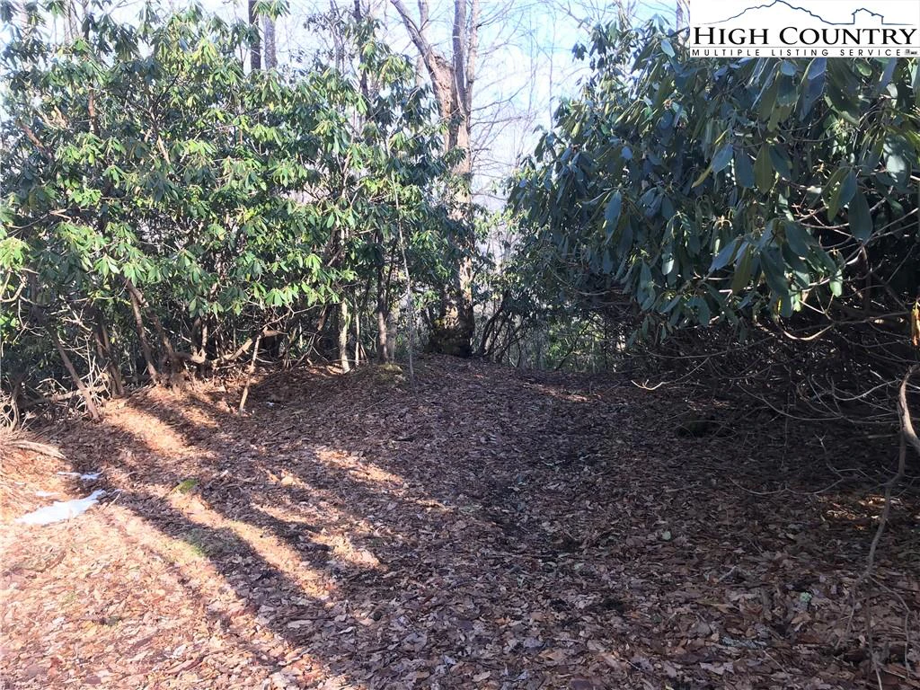Image number 12 for the current listing