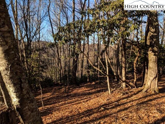 Image number 3 for the current listing