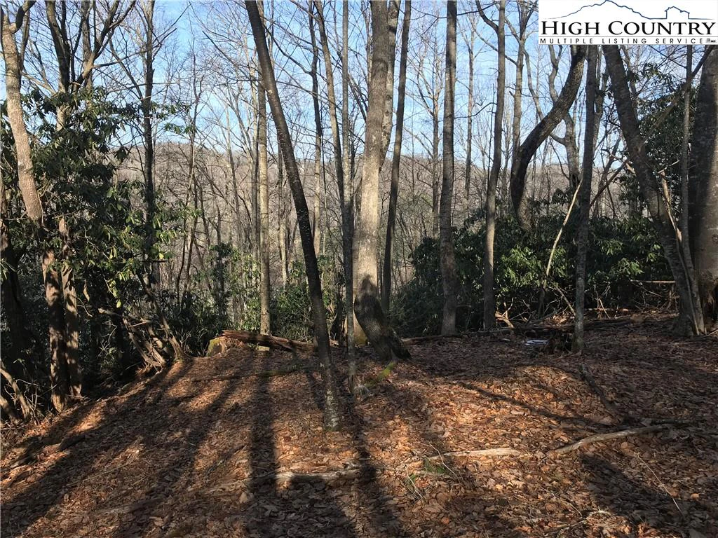 Image number 5 for the current listing