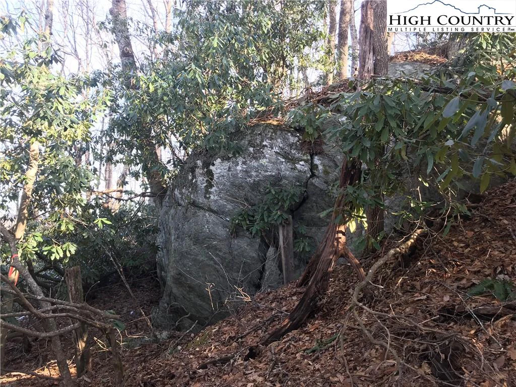 Image number 6 for the current listing