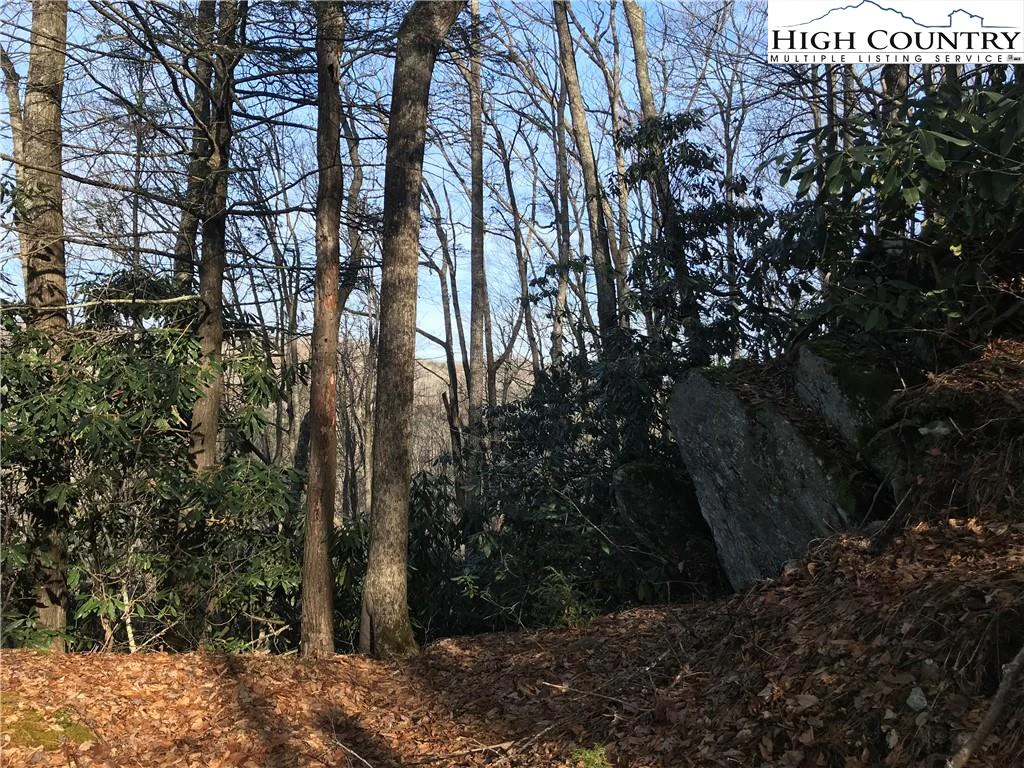 Image number 7 for the current listing