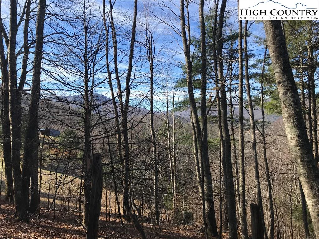 Image number 9 for the current listing