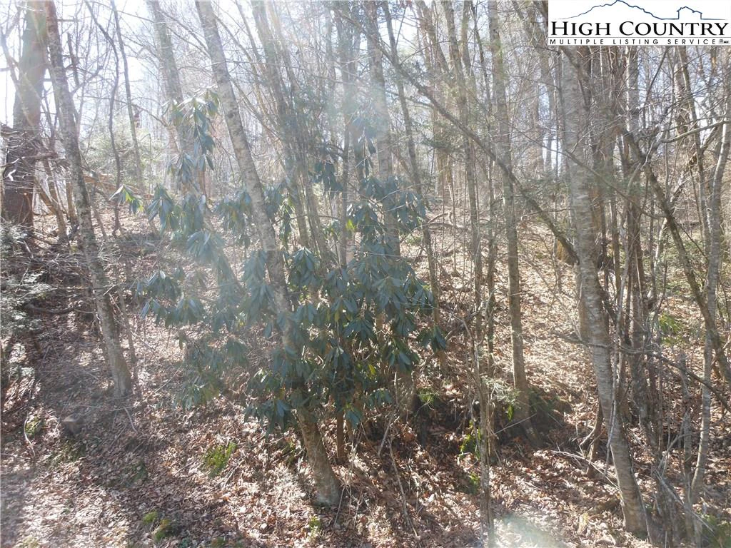 Image number 5 for the current listing