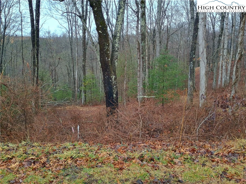 Image number 3 for the current listing