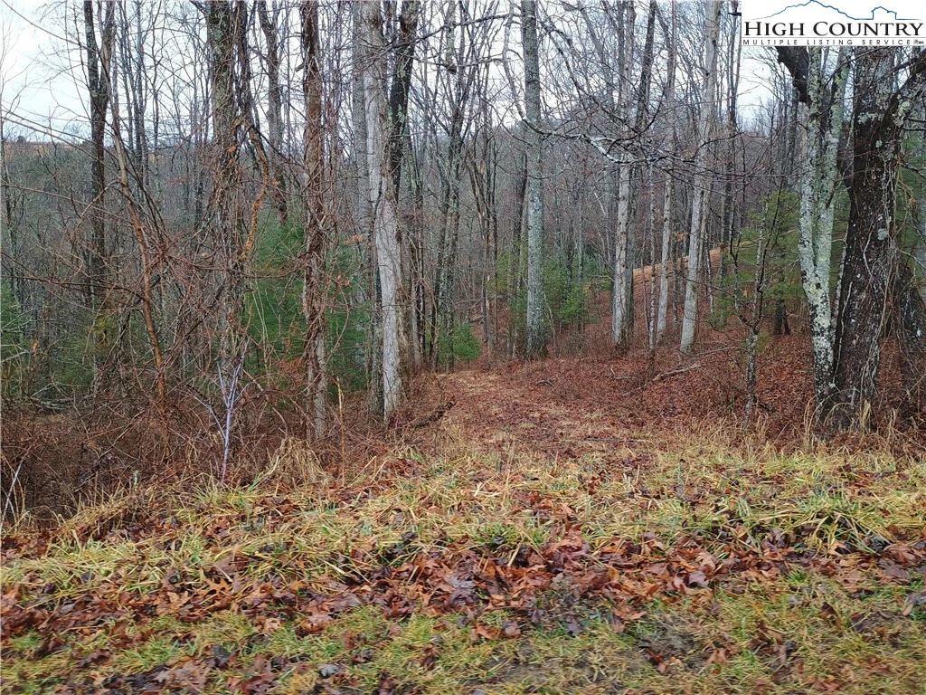Image number 4 for the current listing