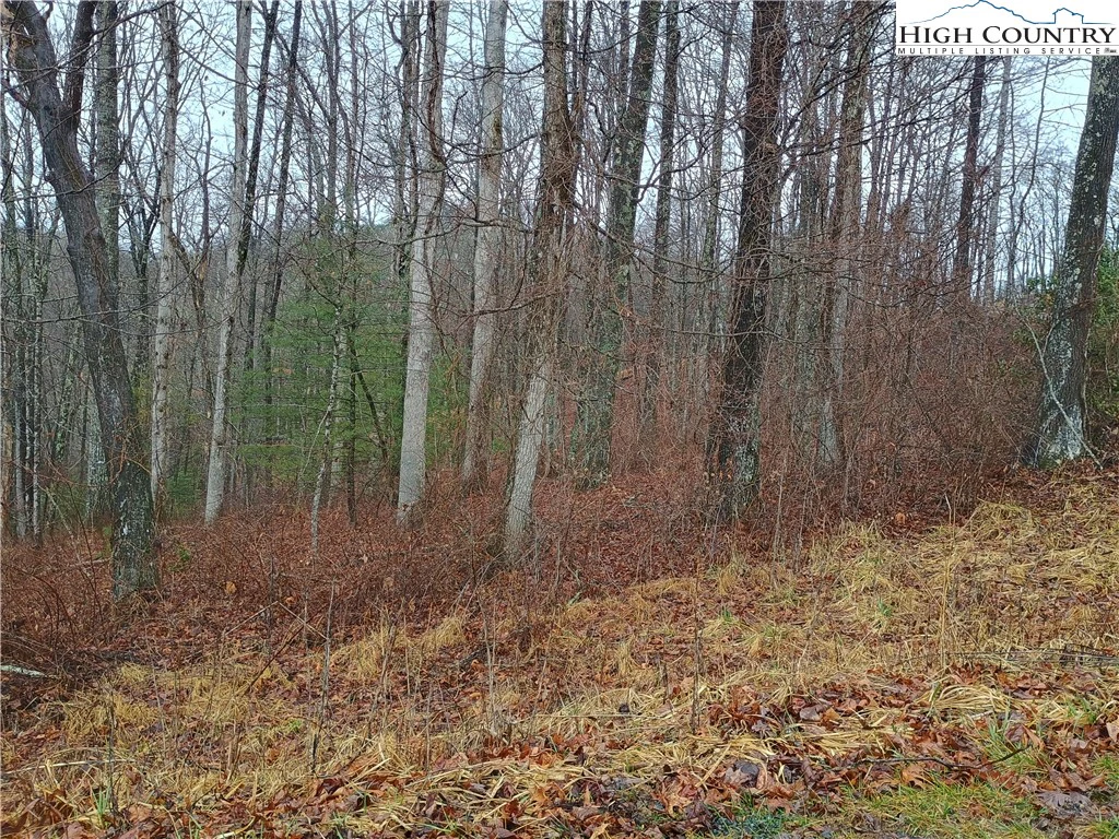 Image number 5 for the current listing