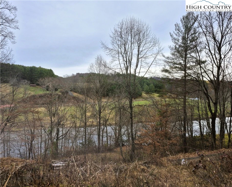 Image number 1 for the current listing