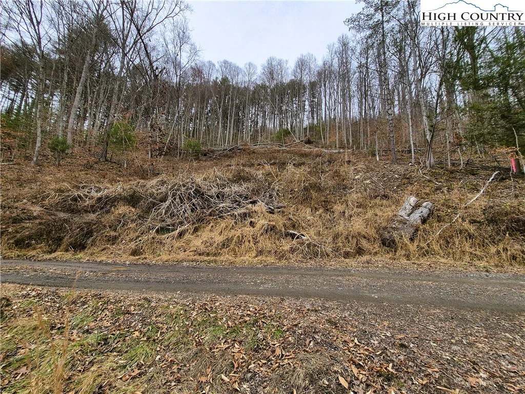 Image number 4 for the current listing