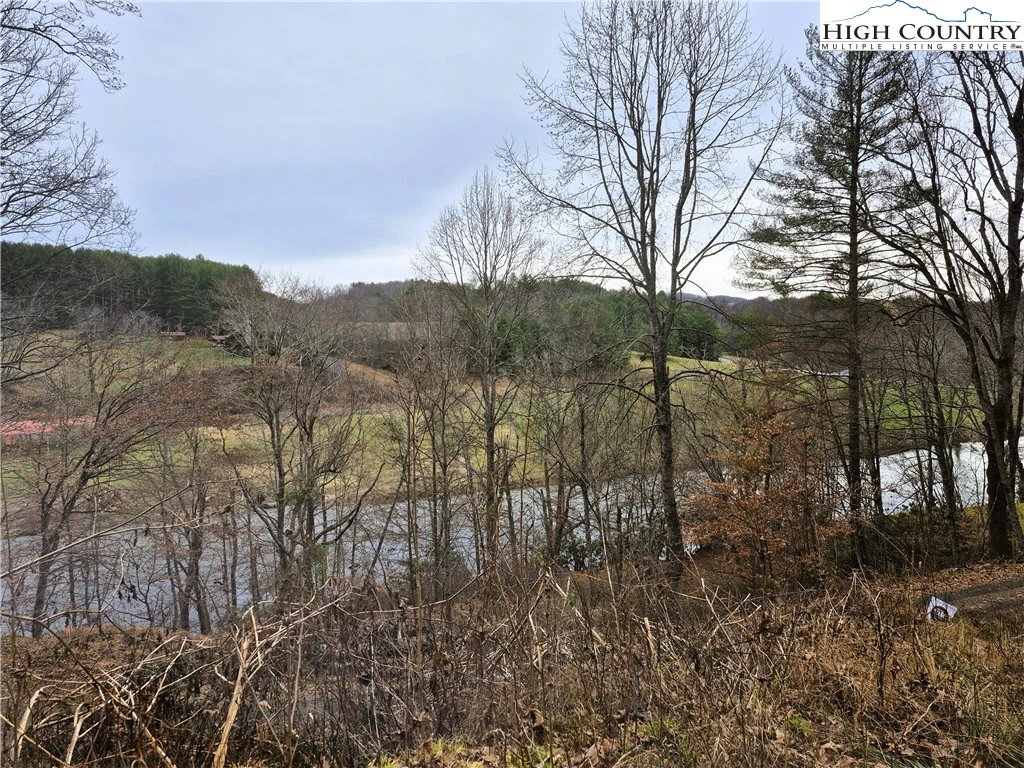 Image number 9 for the current listing