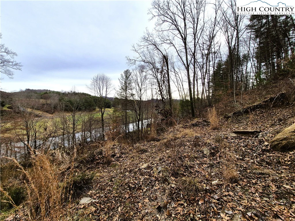 Image number 11 for the current listing