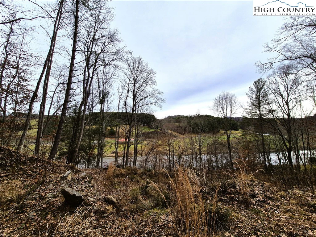 Image number 12 for the current listing