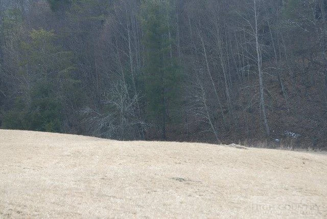 Image number 3 for the current listing