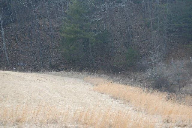 Image number 4 for the current listing