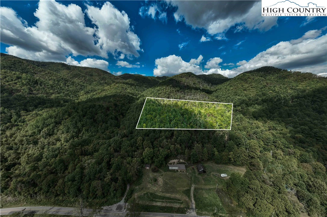 Image number 1 for the current listing