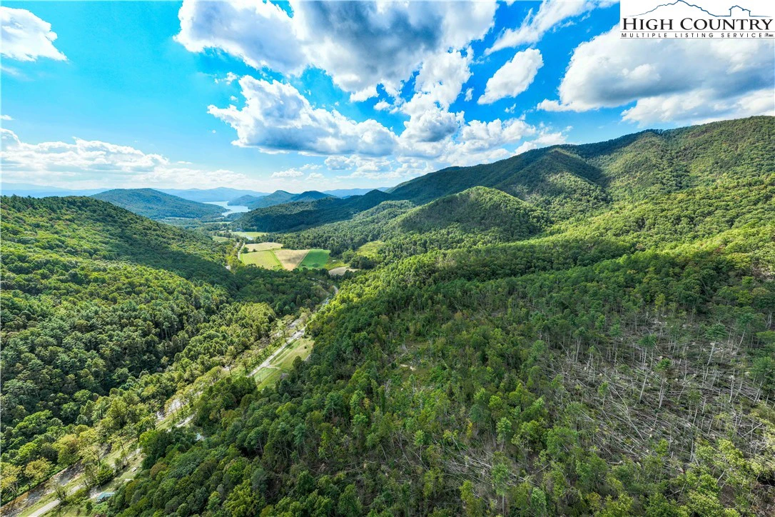 Image number 2 for the current listing