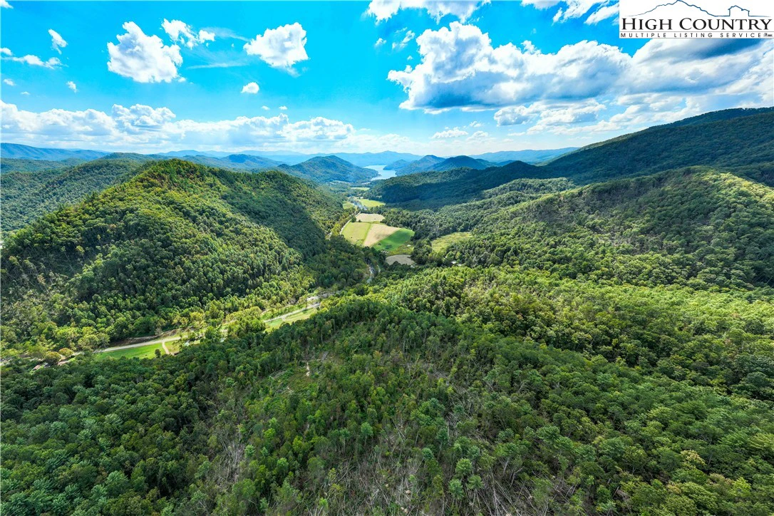 Image number 11 for the current listing