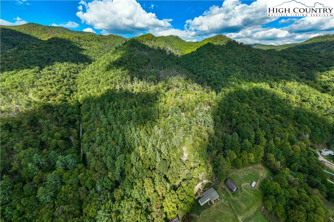 Image number 7 for the current listing