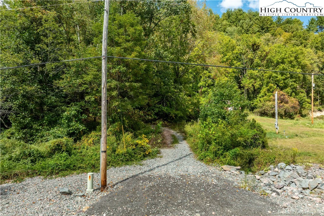 Image number 5 for the current listing