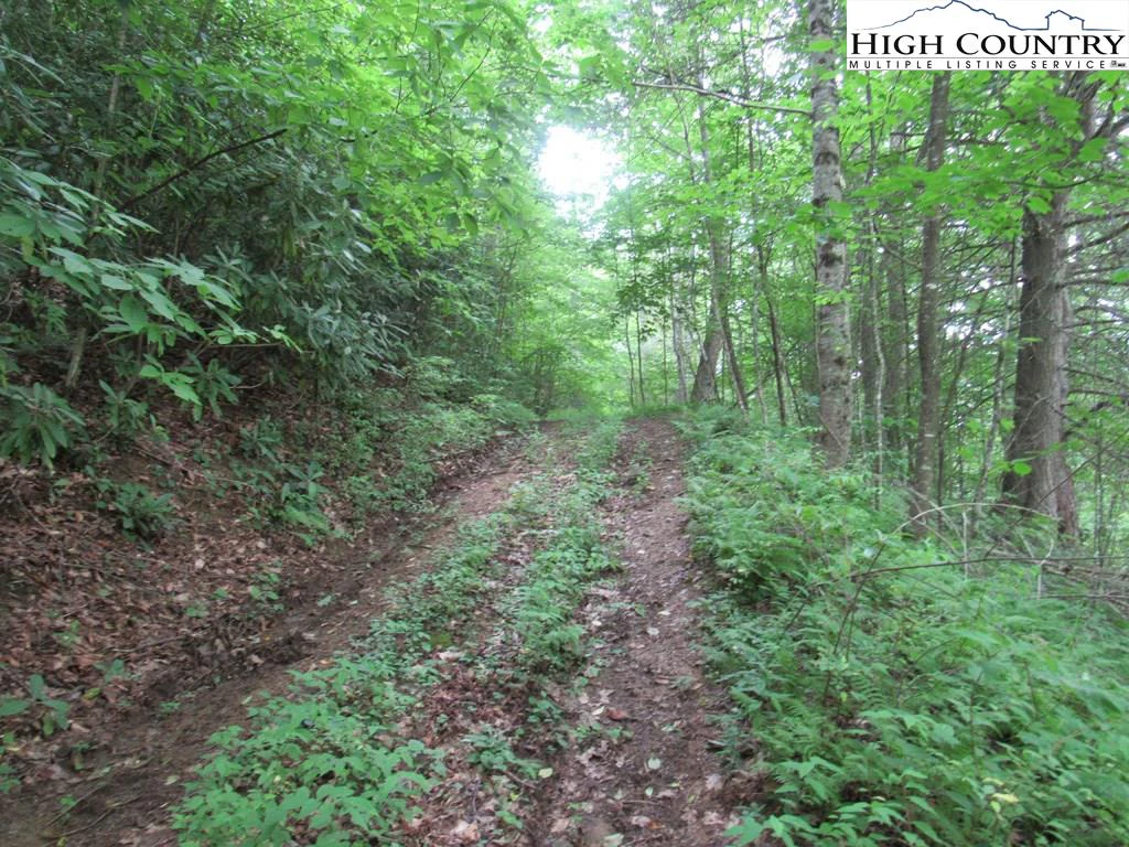 Image number 1 for the current listing