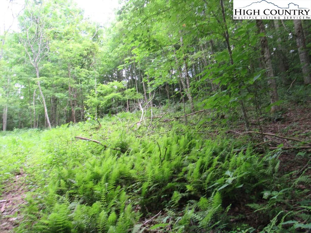 Image number 16 for the current listing