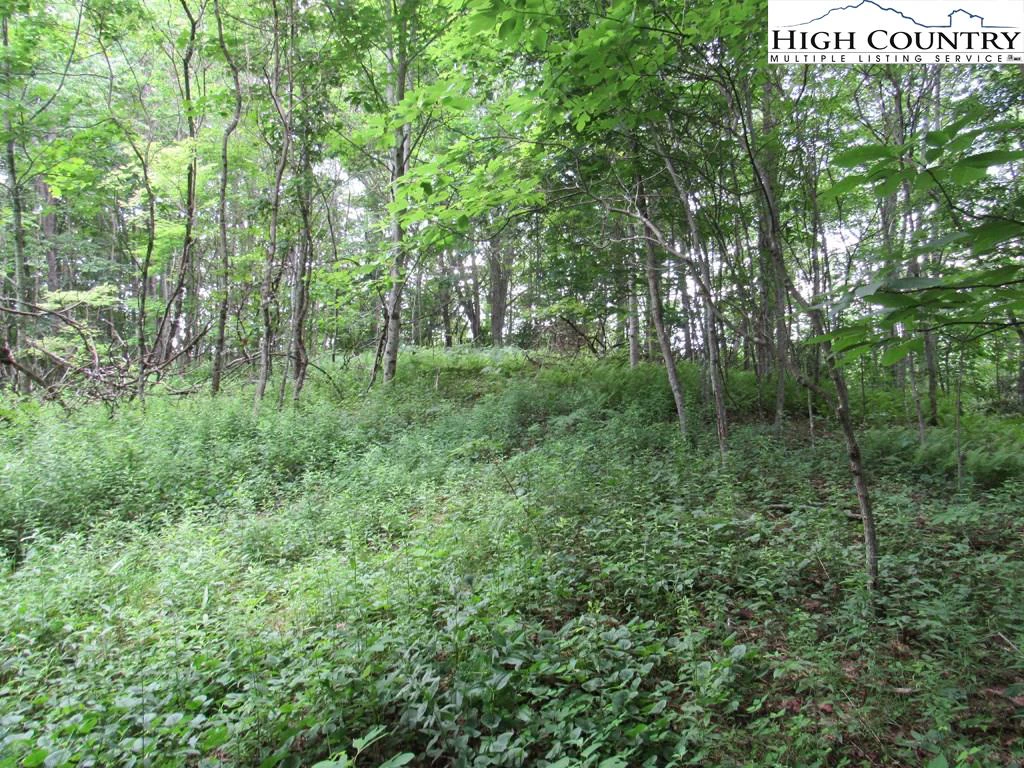 Image number 15 for the current listing
