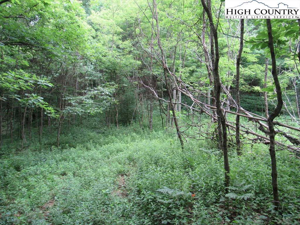 Image number 2 for the current listing