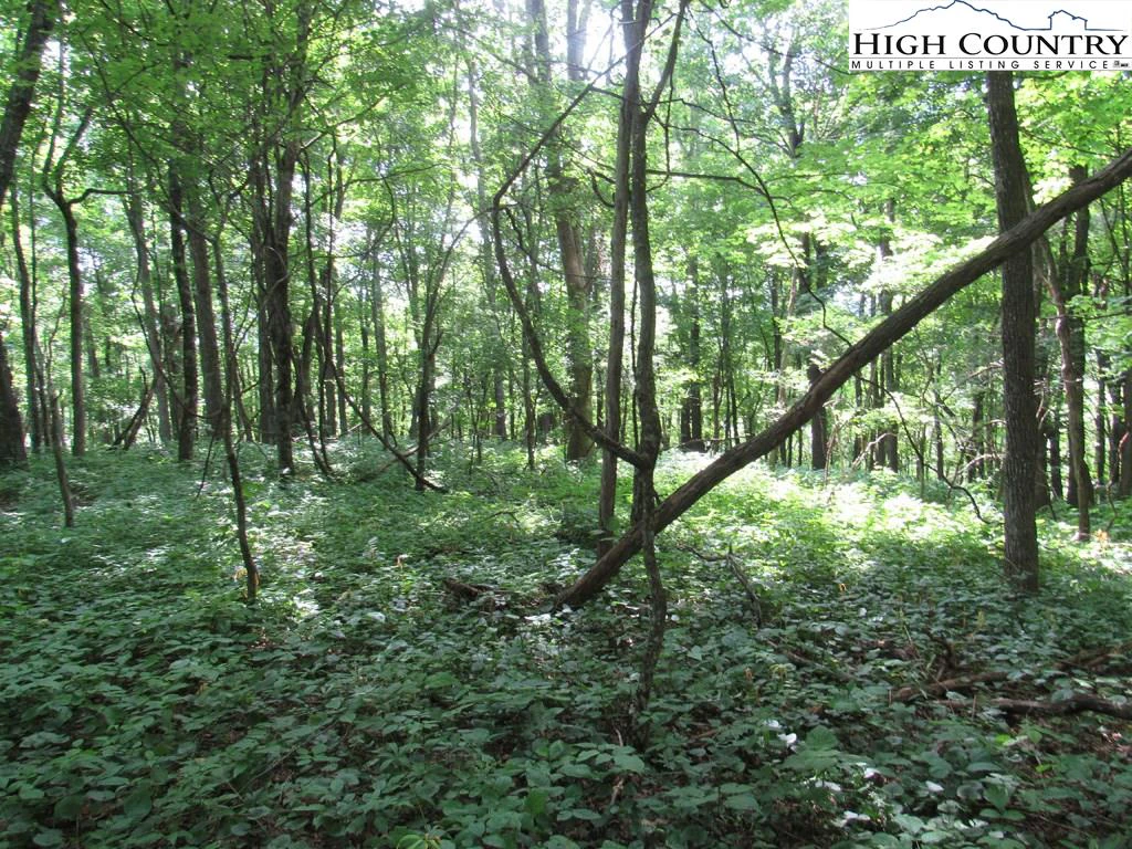 Image number 13 for the current listing