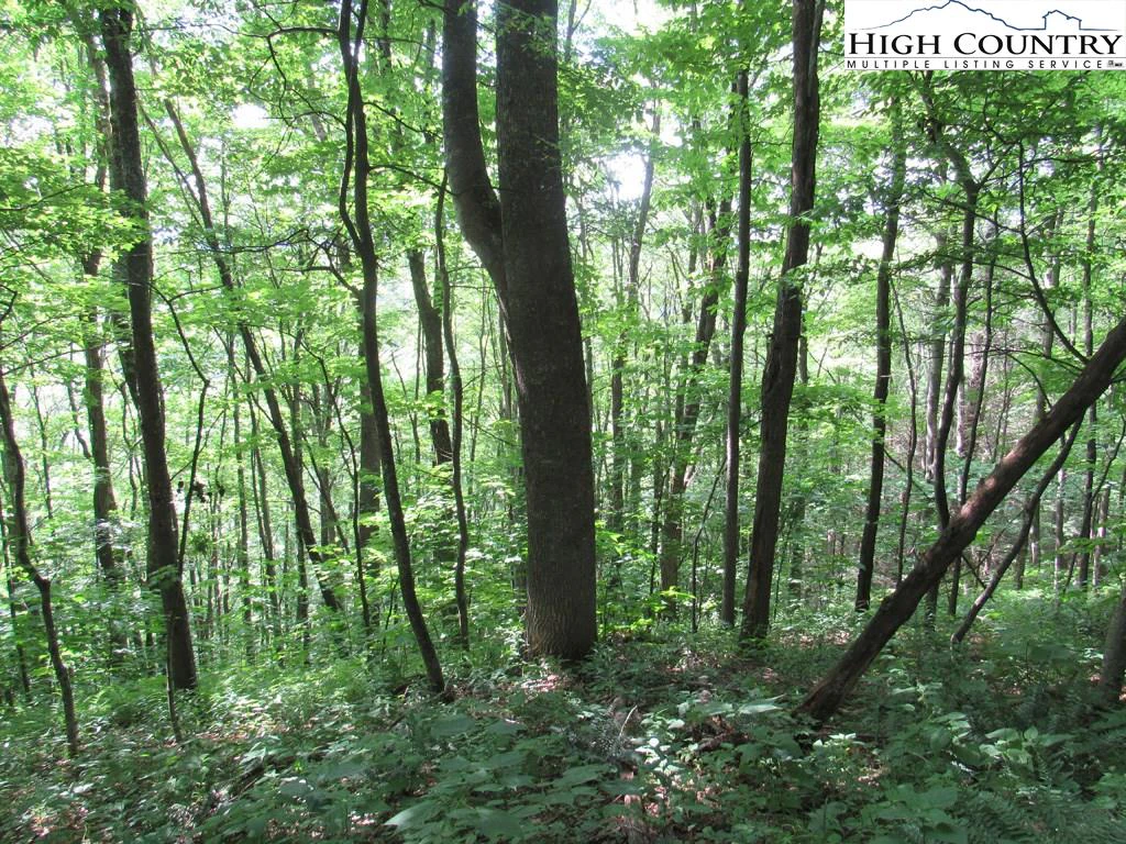 Image number 9 for the current listing