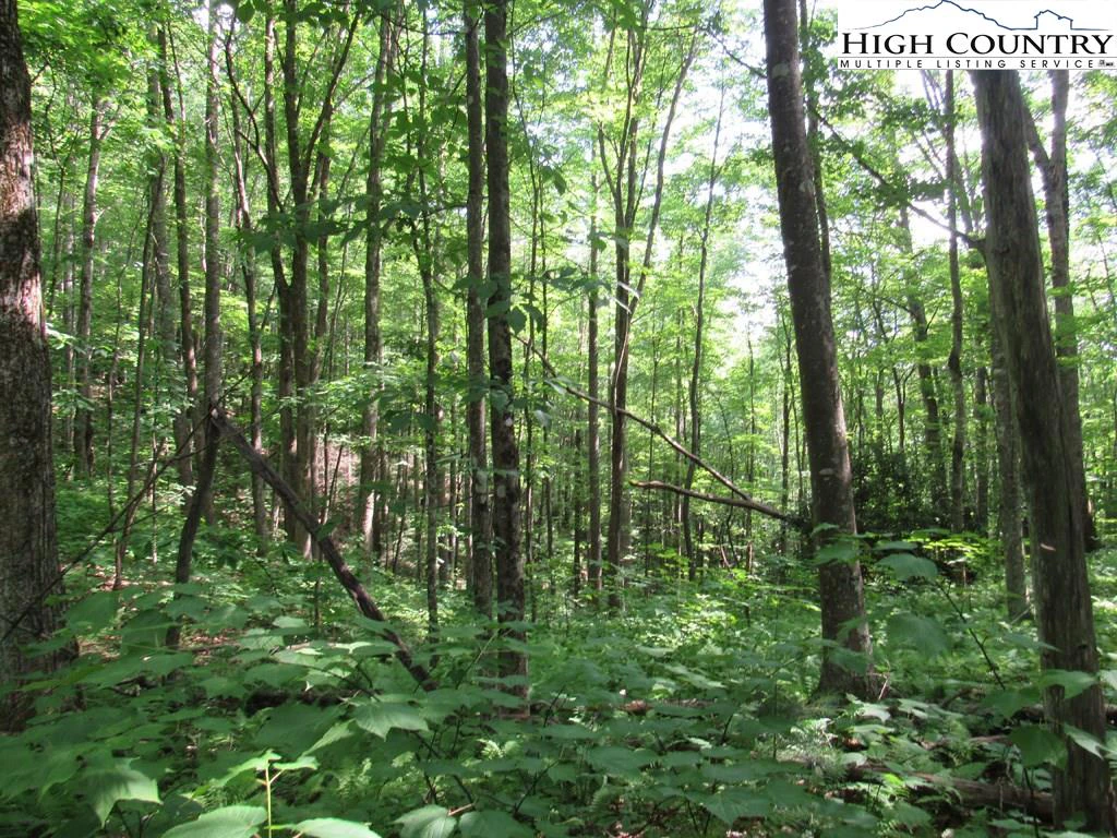 Image number 7 for the current listing