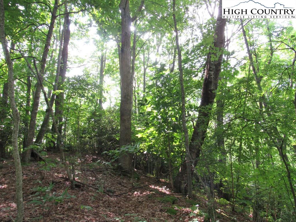 Image number 6 for the current listing