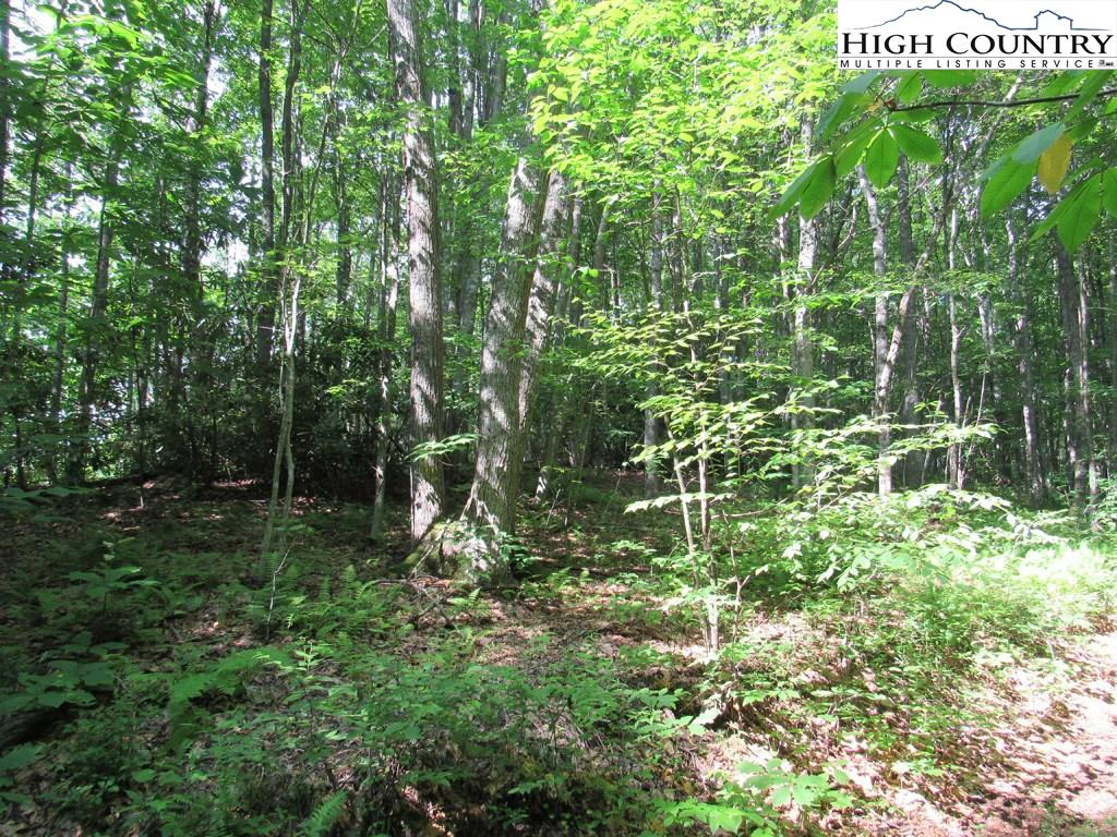 Image number 5 for the current listing