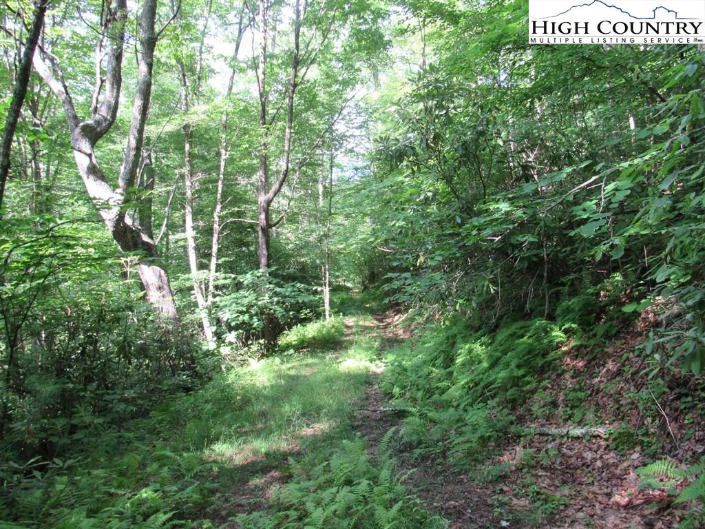 Image number 3 for the current listing